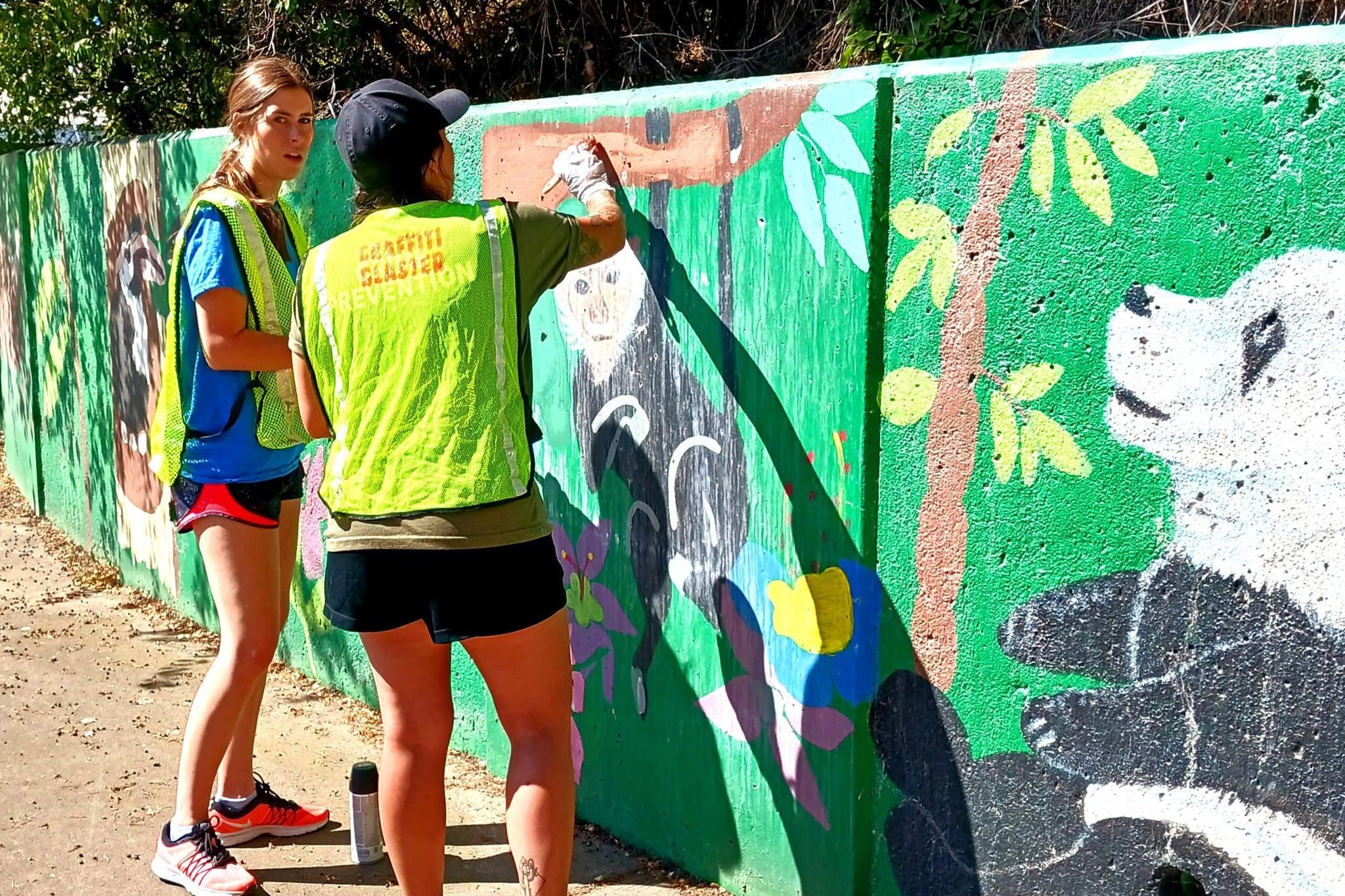 Volunteer Volunteer